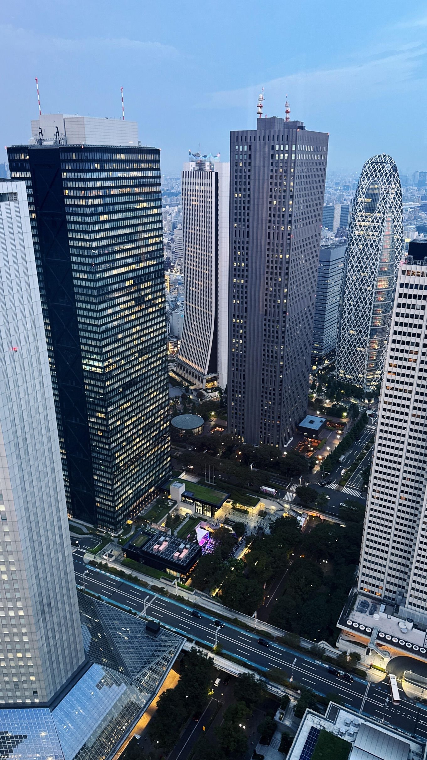 Shinjuku's Best Free View: Tokyo Metropolitan Government Observatory
