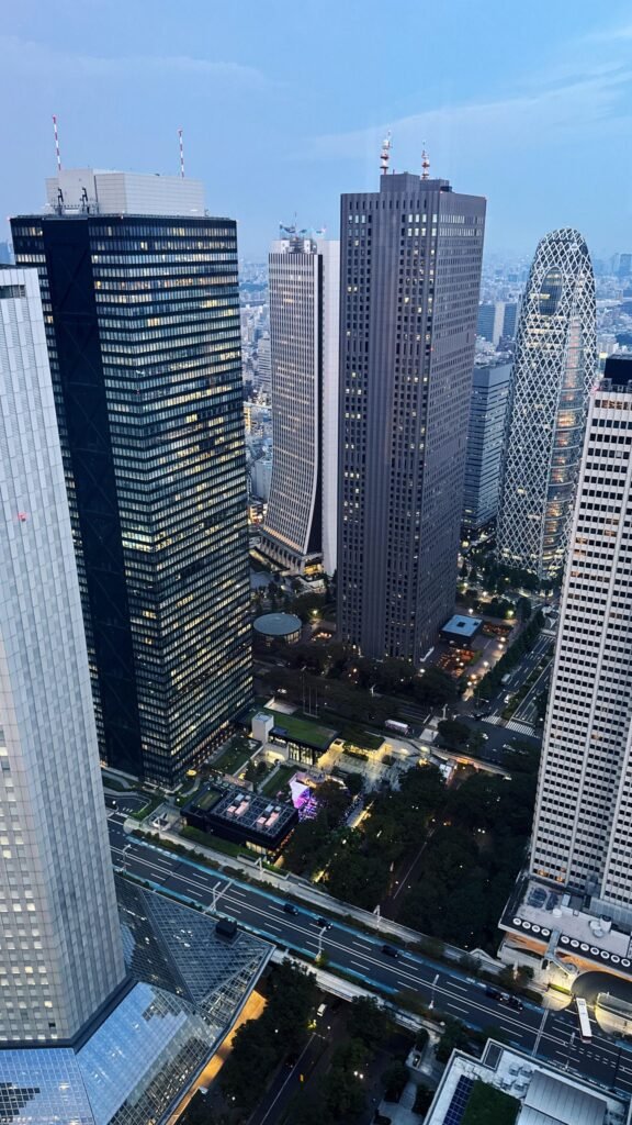 This is Tokyo Metropolitan Government Building 0000 Image