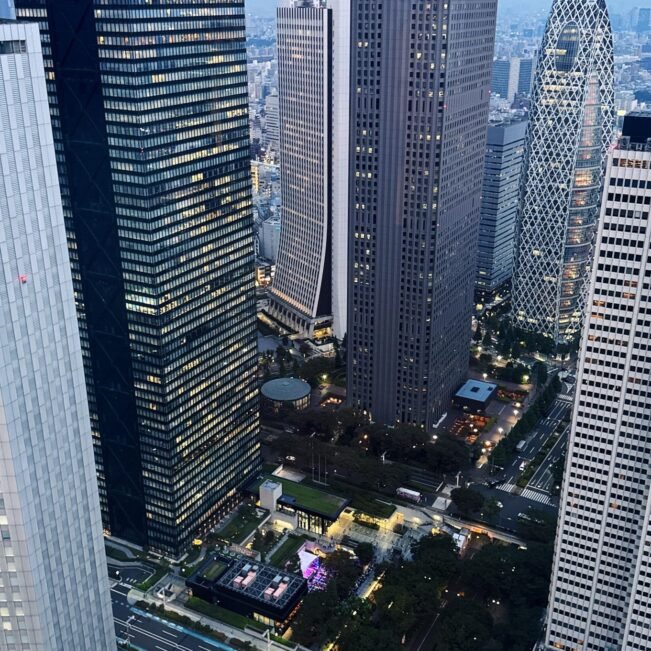 This is Tokyo Metropolitan Government Building 0000 Image