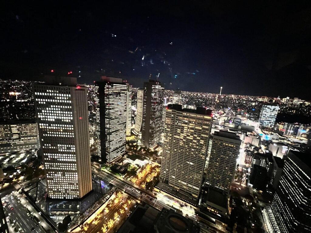 This is Tokyo Metropolitan Government Building 0002 Image