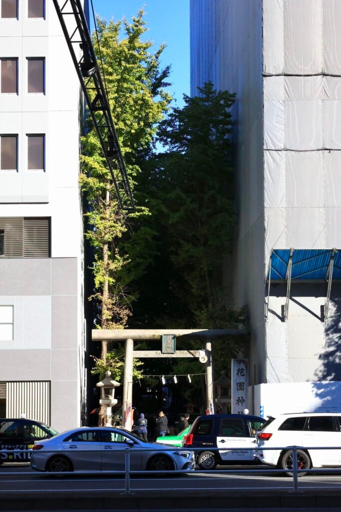 This is Hanazono Shrine Shinjuku0001 Image