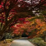 Peaceful walking paths through Shinjuku Gyoen National Garden greenery