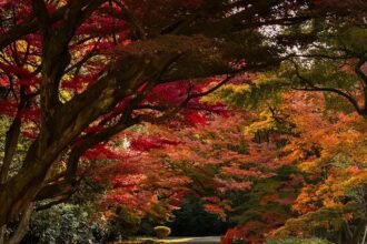 Peaceful walking paths through Shinjuku Gyoen National Garden greenery