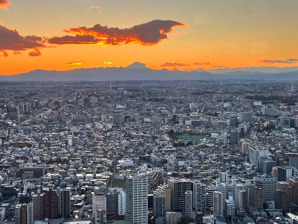 This is Tokyo Metropolitan Government Building 0003 Image