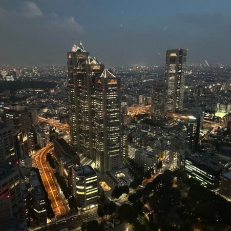 Free observation deck at Tokyo Metropolitan Building with city skyline views