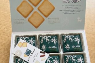 Japanese omiyage souvenir snacks and sweets perfect for gifts from Japan
