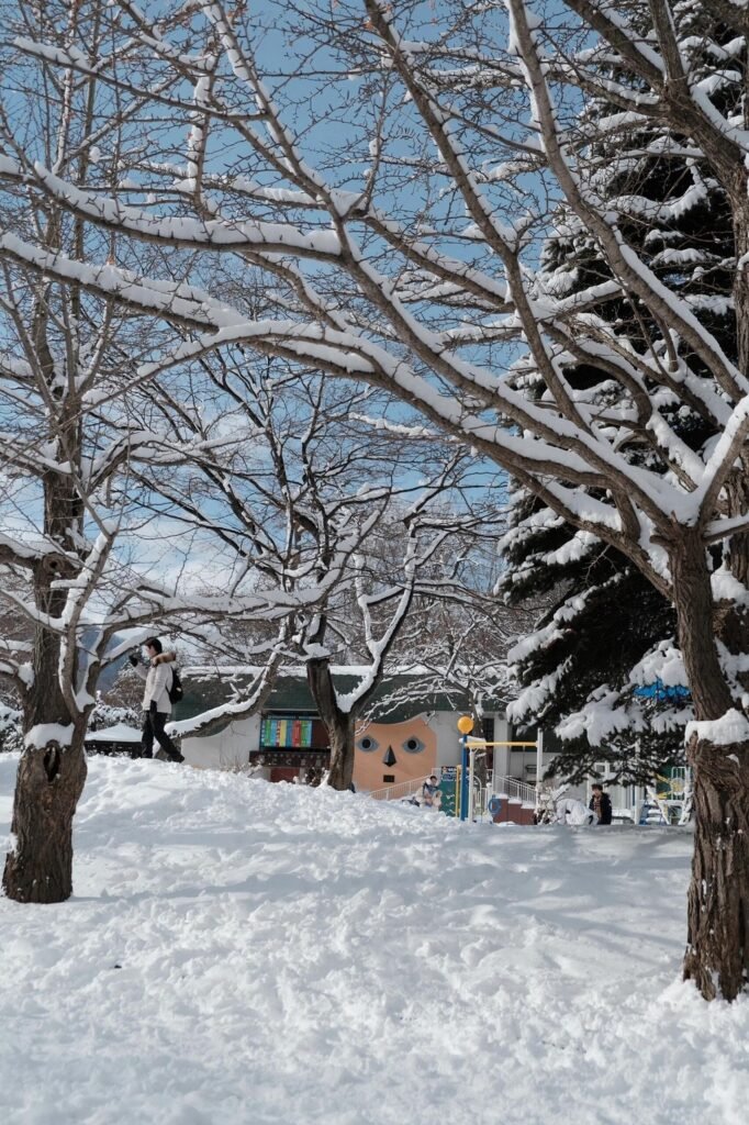 This is nakajima park guide0000 Image